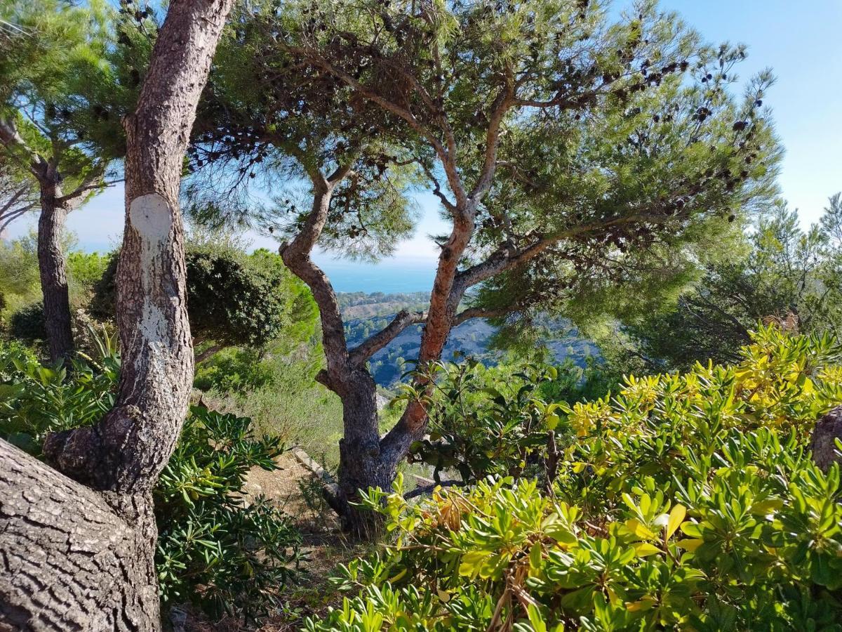 Sweet Calanque - Host Provence Apartment กาซีส์ ภายนอก รูปภาพ